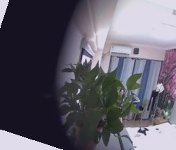 国产在线精品欧美日韩电影,国产精品激情久久久久久久