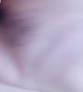 久久96热在精品国产三级,日本天堂免费网站在线观看