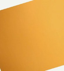 污污精品91网站在线观看,无码精品国产一区二区三区免费