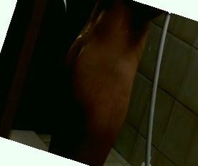 全网最新好看的电视剧高清电影免费在线观看,人人妻人人澡av天堂香蕉