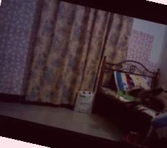 免费做爰猛烈吃奶摸视频在线观看,久久亚洲欧美日韩精品专区