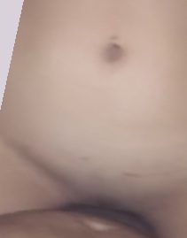 一级黄片免费在线观看,成人动漫伦理在线观看